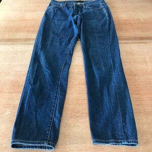 Uniqlo Skinny Straight Jeans Women 26 Blue Mid Rise Medium Wash Kaihara Fabric